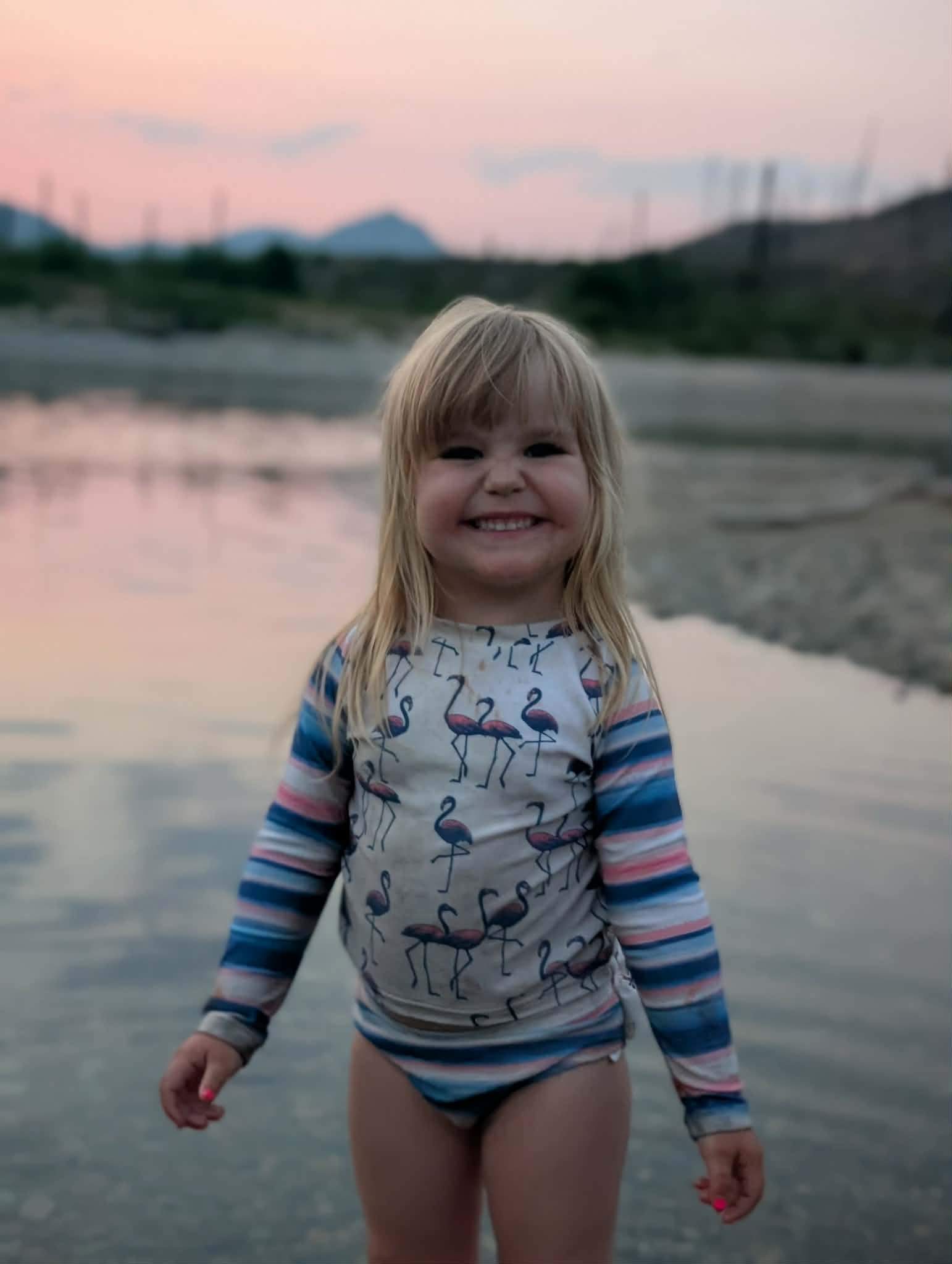 Conservation officers continue search for bear after Maple Ridge girl attacked