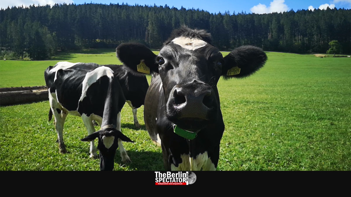 The Wonders of Germany’s Black Forest