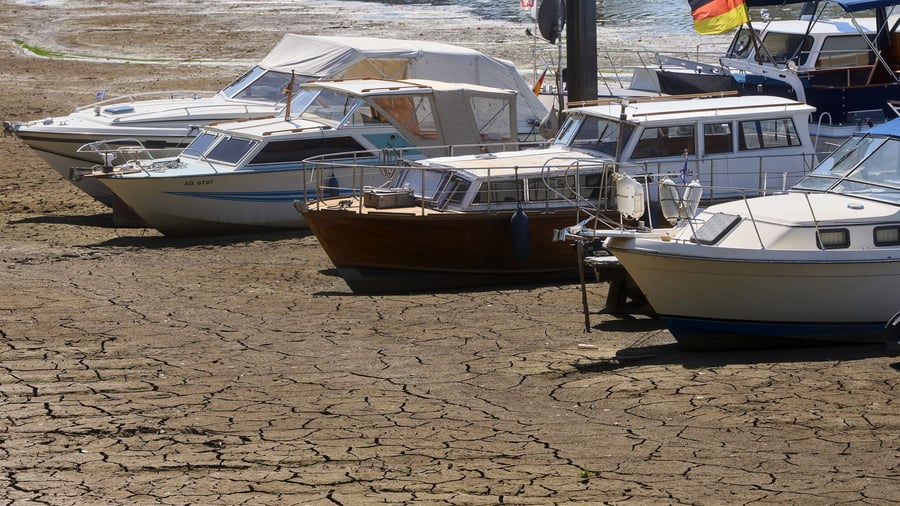 Long drought: Levels, Kaub, driving ban: What is important for low water