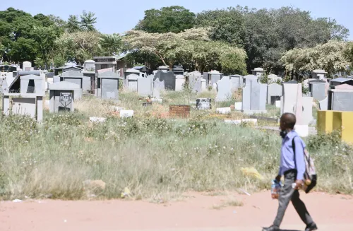 Cape Town proposes grave reuse and stricter rules for funeral undertakers