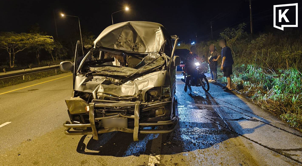 Van crashes into wild elephant crossing road in Rayong
