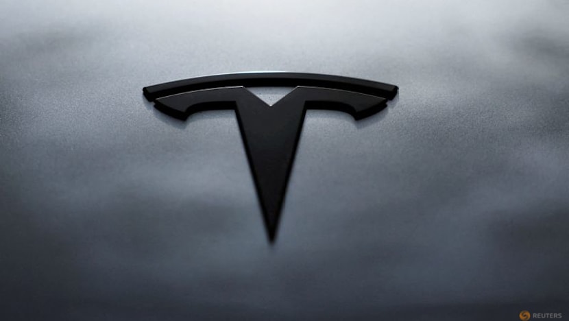 France starts tests on Tesla's self-driving tech