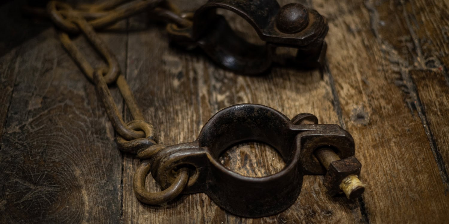 Historical slavery predicts modern mortality gaps between Black and White Americans