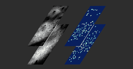 Optimized two-photon microscopy enables voltage imaging at multiple depths