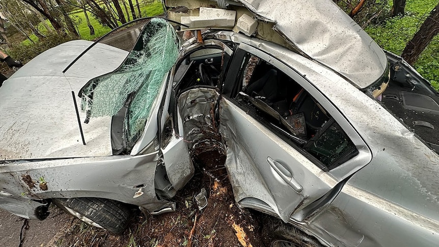 Driver 'incredibly fortunate' to avoid serious injury after hitting tree