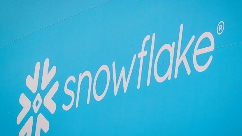 Snowflake's AI-powered results send shares soaring, buoy software stocks