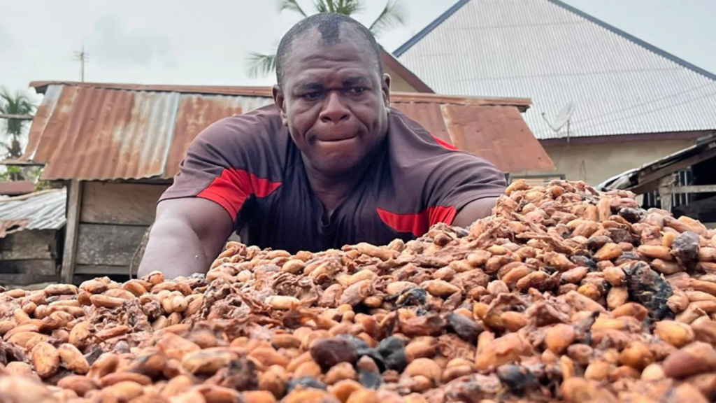 Cocoa farmers urge review of Bill before presidential assent