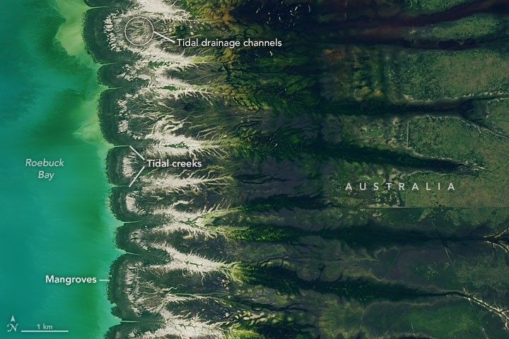 Bountiful Roebuck Bay