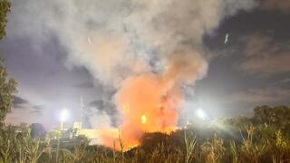 Train passes beside flames as fire rages along Yarkon River in Ramat Gan | Watch