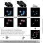 New microscopy method achieves angstrom-scale localization precision with one laser