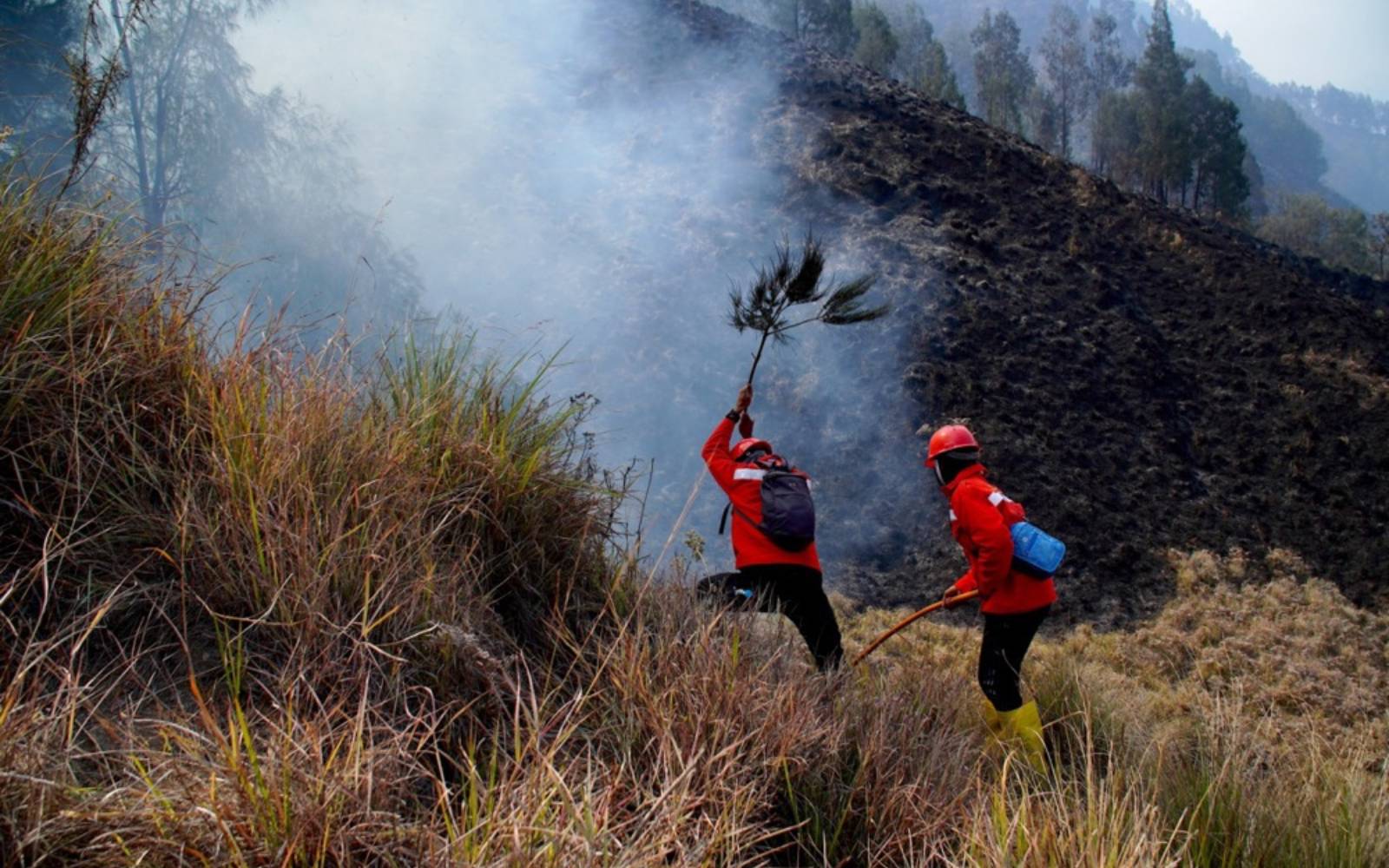 Indonesia closes schools as wildfire haze worsens