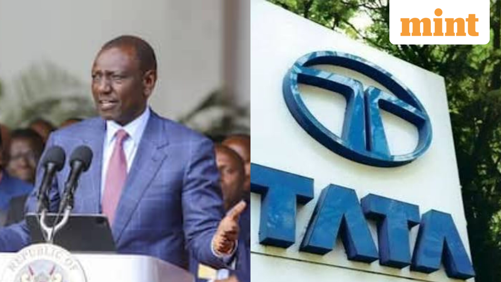 Tata Chemicals asked to halt Kenya operations: Why President William Ruto ordered exit; 2 firms to take over assets