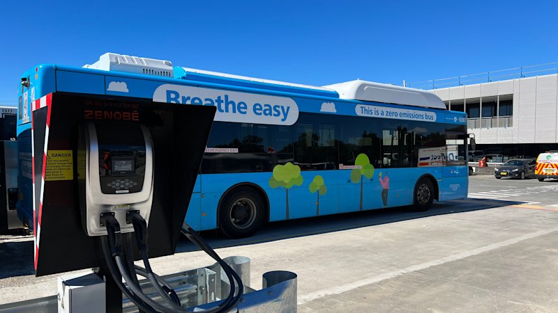 A quarter-billion-dollar mistake? Queensland’s diesel bus route slammed