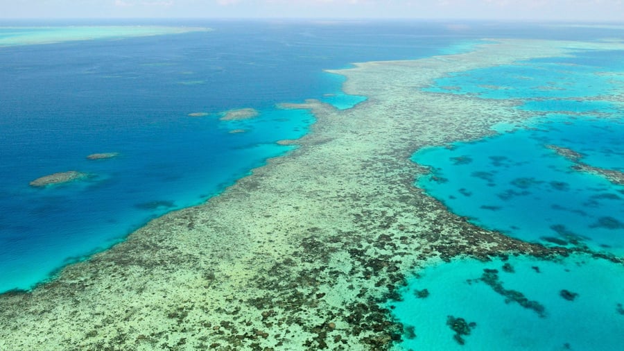 Naturwunder in Australien: Korallen am Great Barrier Reef erholen sich nach Abkühlung