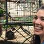 Chimpanzees have accents too, study finds