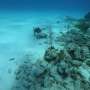 Deep-sea methane filter develops faster than previously thought
