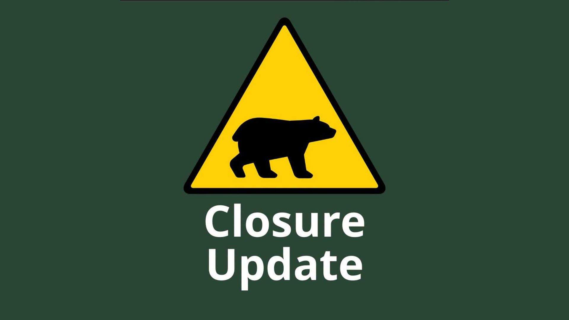 Increased bear activity prompts closures at Bruce Peninsula National Park