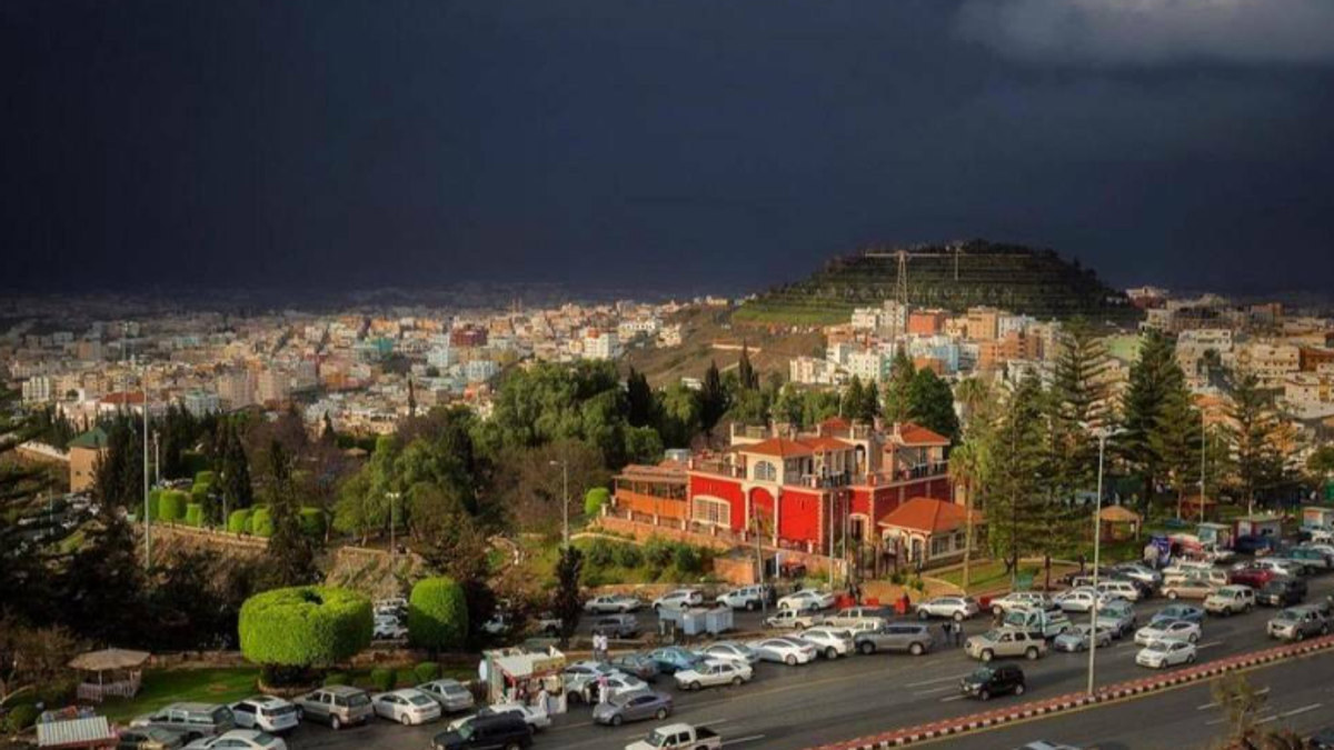 Asir Municipality approves 311 development plans to boost real estate in H1 2026