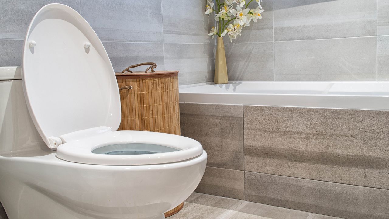 Cleaning pros share how often you should clean your toilet — and you'll be surprised