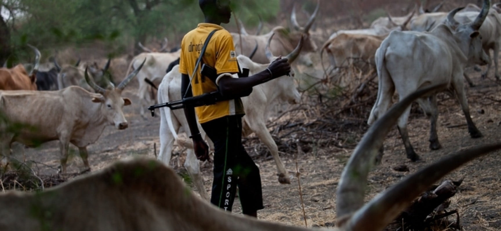 Police inspector killed as suspected herdsmen attack checkpoint in Benue