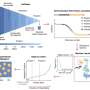 From peas to potatoes, AI identifies nearly 800 promising plant proteins for food and cosmetics