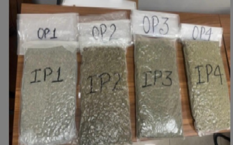 Police probe syndicate link after Malaysian held with cannabis in Chennai