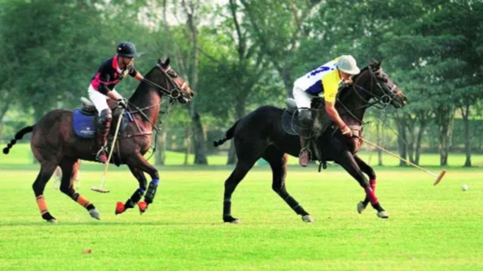 Polo Association exits arbitration litigation, wants 500 acres at alternate site