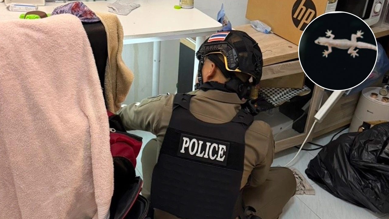 Police Rush to Help a Terrified Woman Over Tiny Gecko