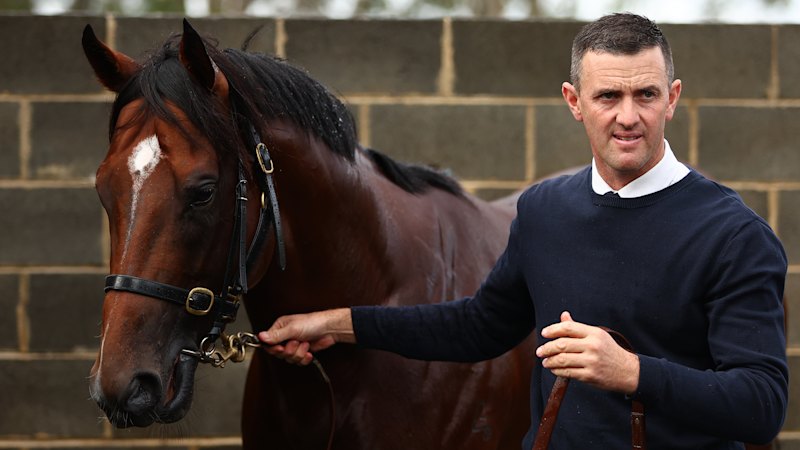 Price hopes Canterbury return can start Monte Veebee on road to riches