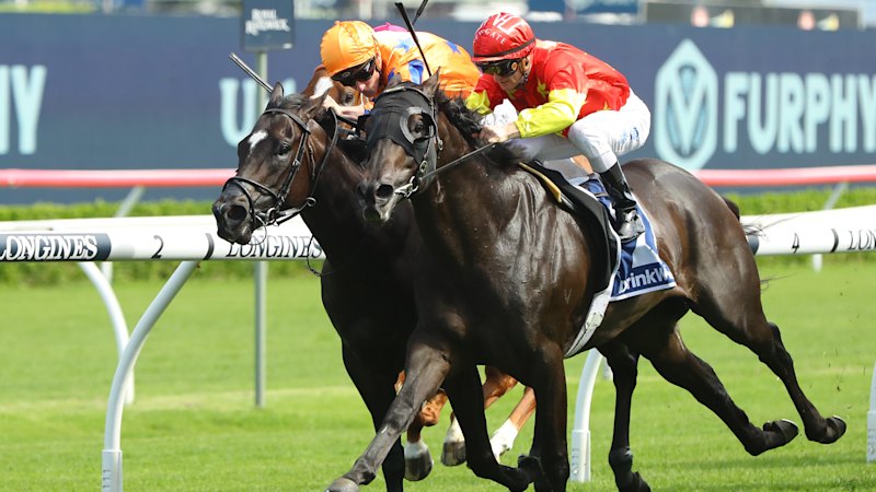 Race-by-race preview and tips for Wednesday’s Canterbury meeting