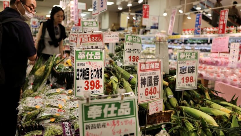Japan July household spending falls at fastest pace in 2-1/2 years