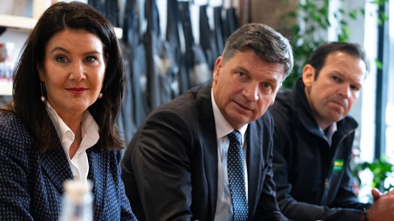 Coalition divisions multiply over latest classroom culture war