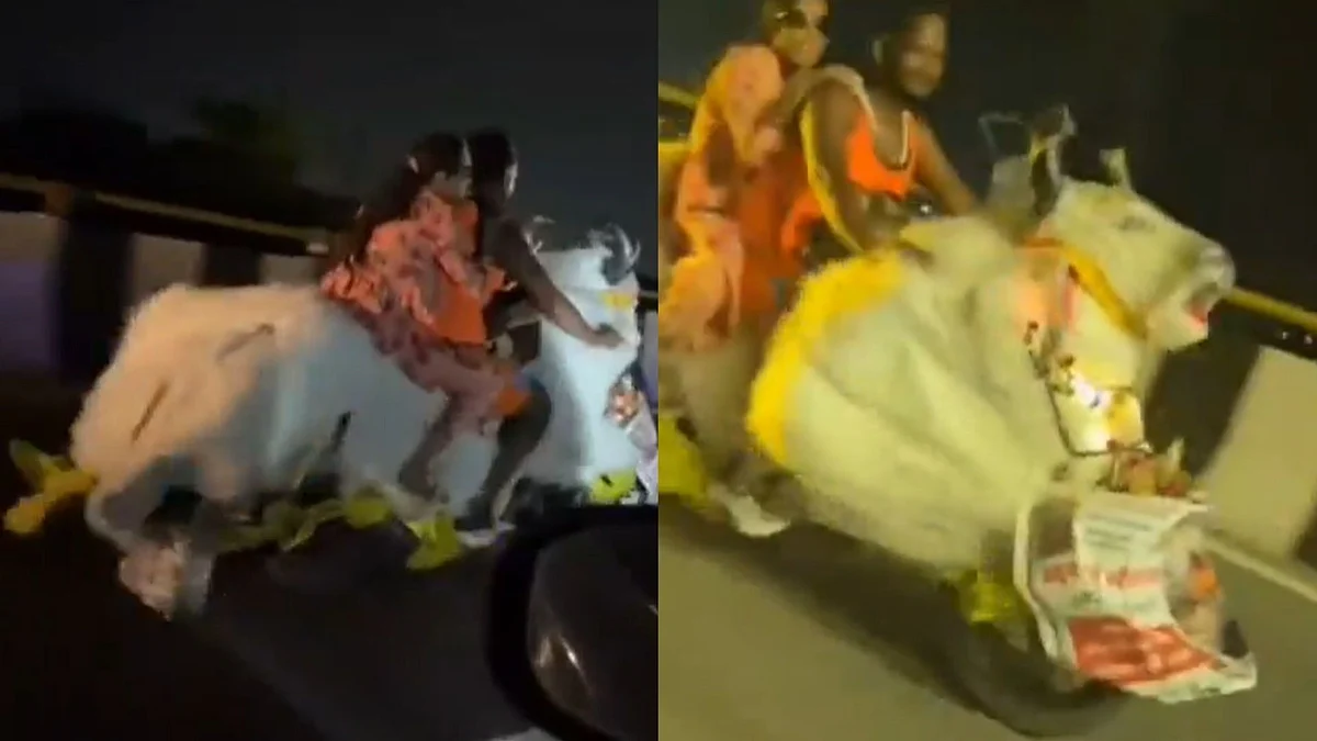 'Nandi Bike’ Goes Viral During Kanwar Yatra, Leaves Social Media In Splits - WATCH