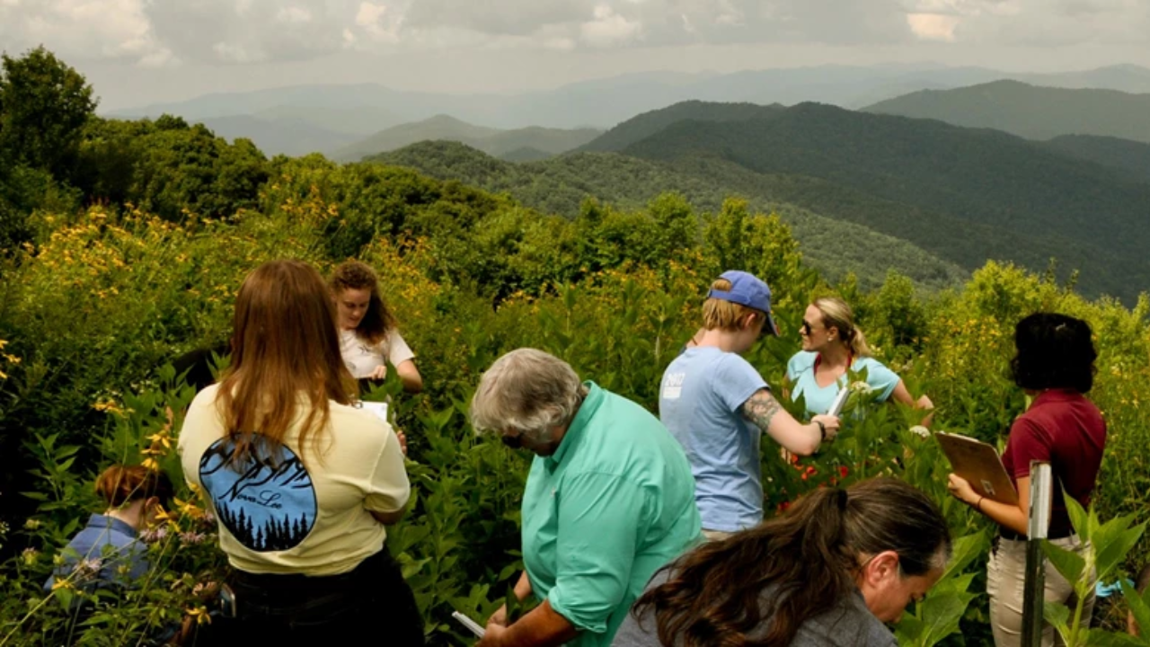 Couple donates 535 acres to Great Smoky Mountains in park's largest gift