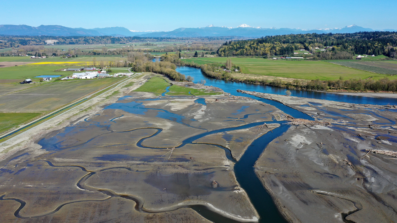 Washington removes century-old dike, 762 acres reclaimed as Chinook return