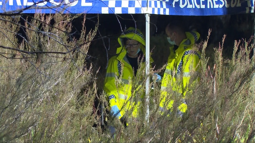 Why police took 20 hours to identify 'body' in suitcase as lifelike doll