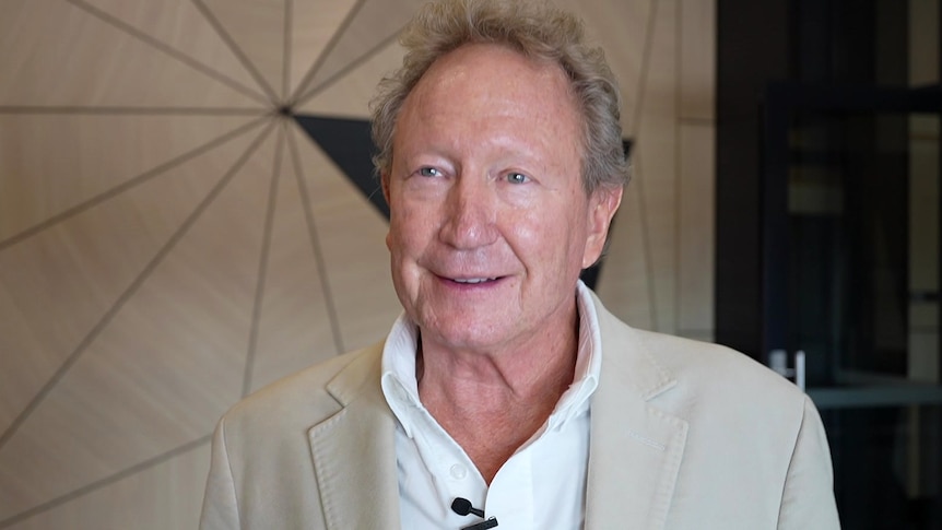 Billionaire Andrew Forrest scores win against Meta in scam ads case