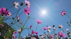 BBC Weather's monthly outlook