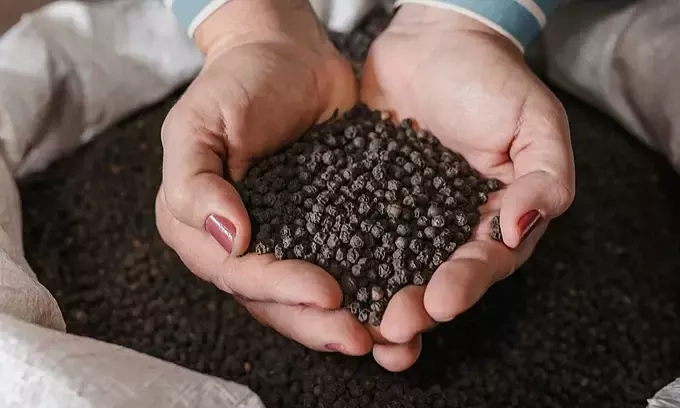 Pepper exports top $1B in 7 months