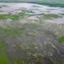 Ancient Colombians built huge water system without centralized rule, archaeologists say