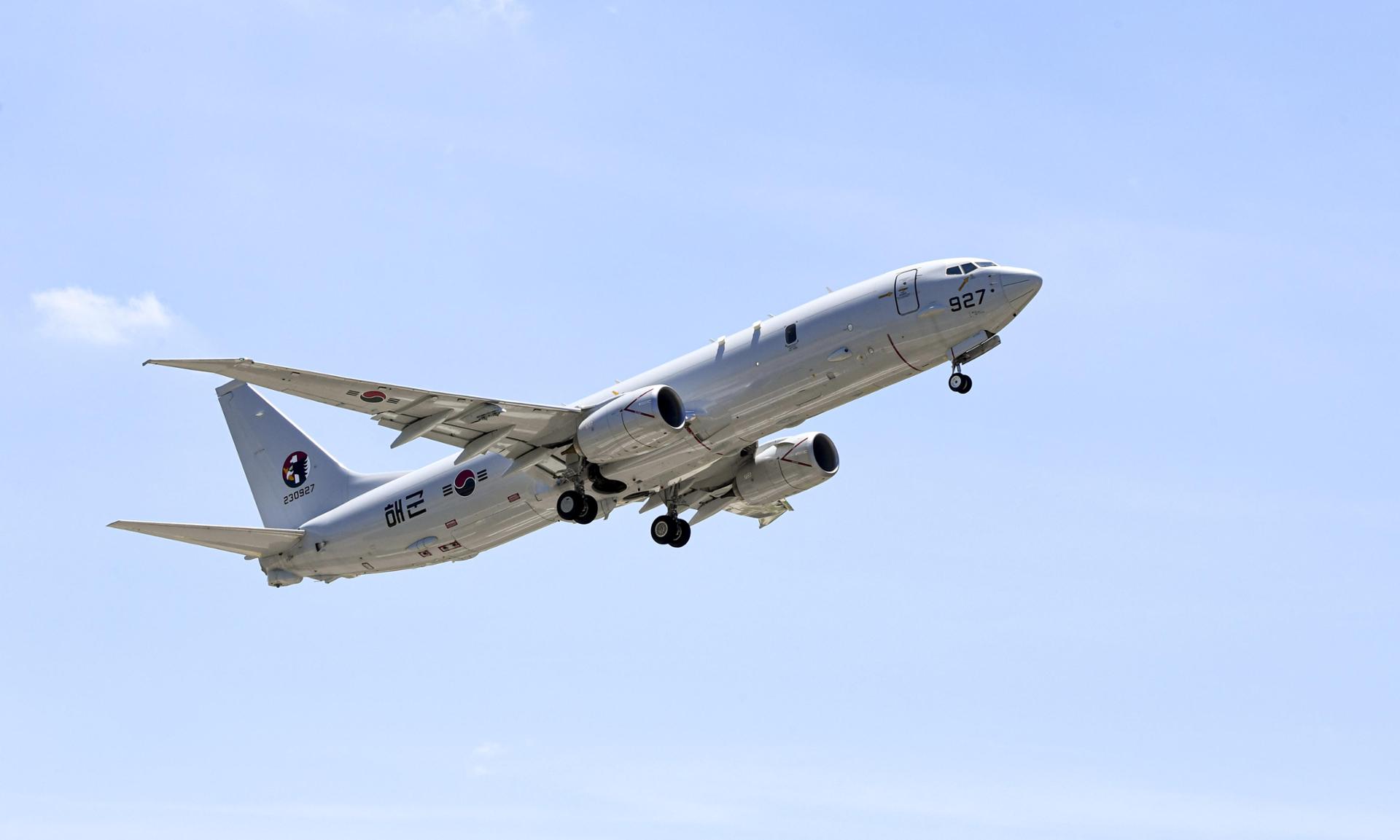 P-8A, support ship among Korea's options for Strait of Hormuz mission