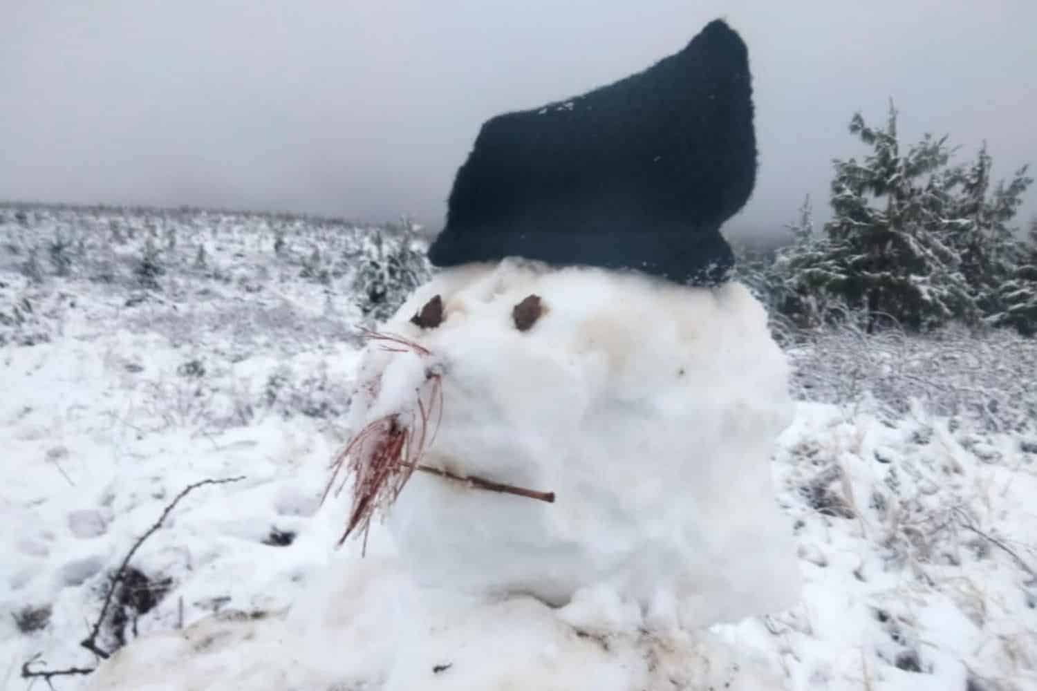 WATCH: Snow falls in Johannesburg as Gauteng freezes