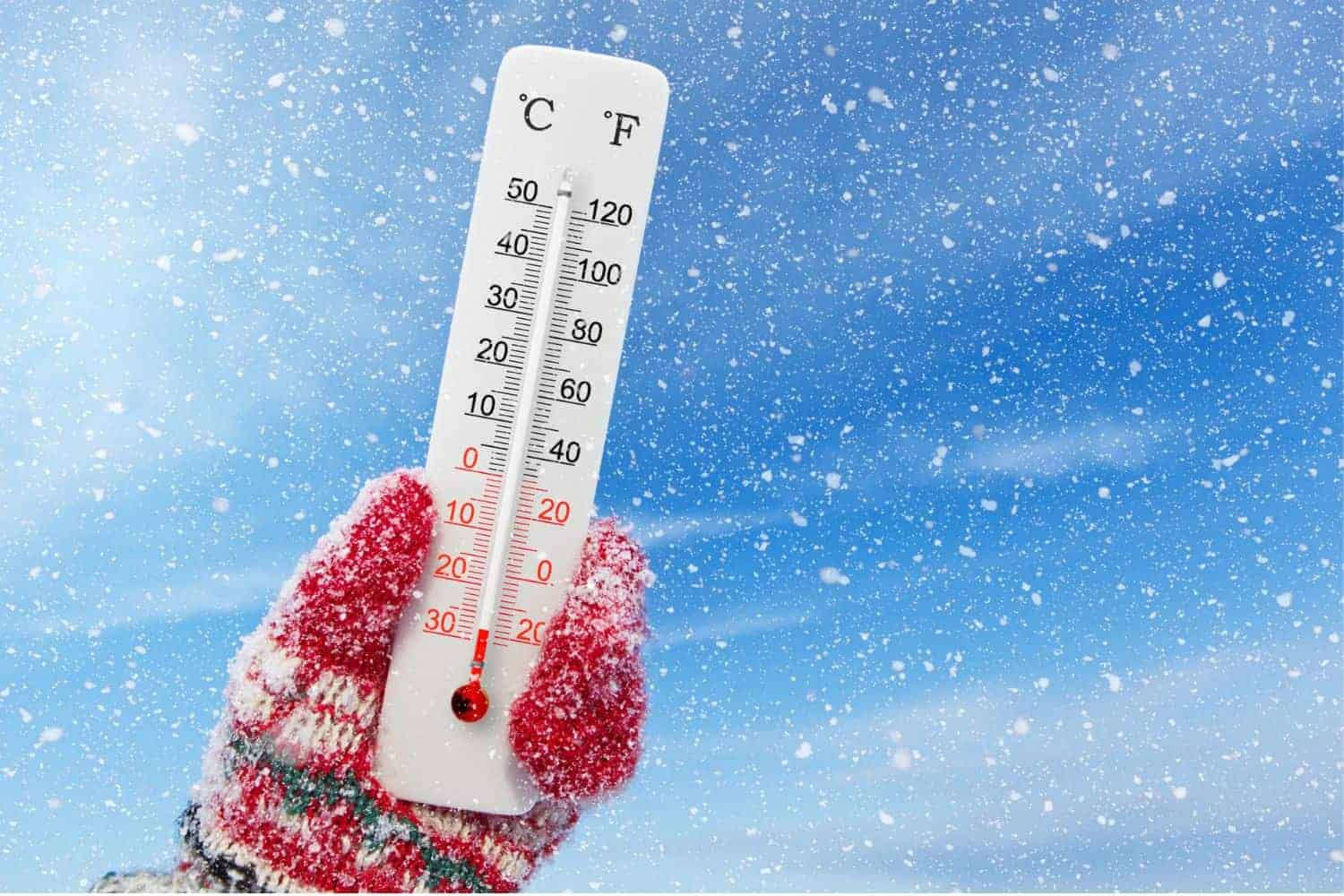 Government issues urgent safety alert as Gauteng freezes