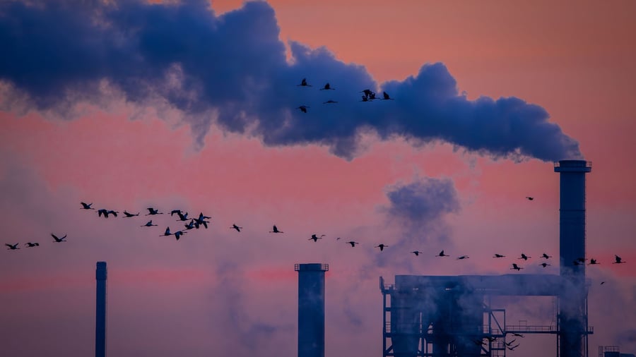 Konjunktur: Auftragseingang für Industrie legt überraschend stark zu