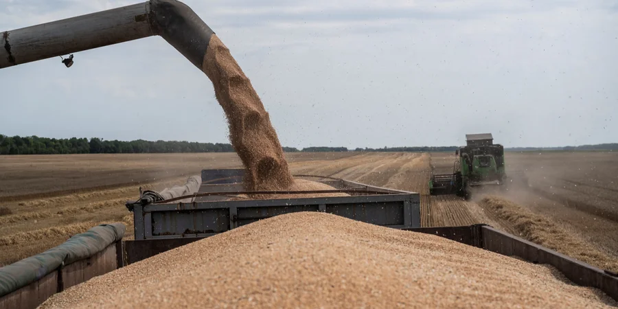 Ukraine eyes Moldova rail route for grain exports