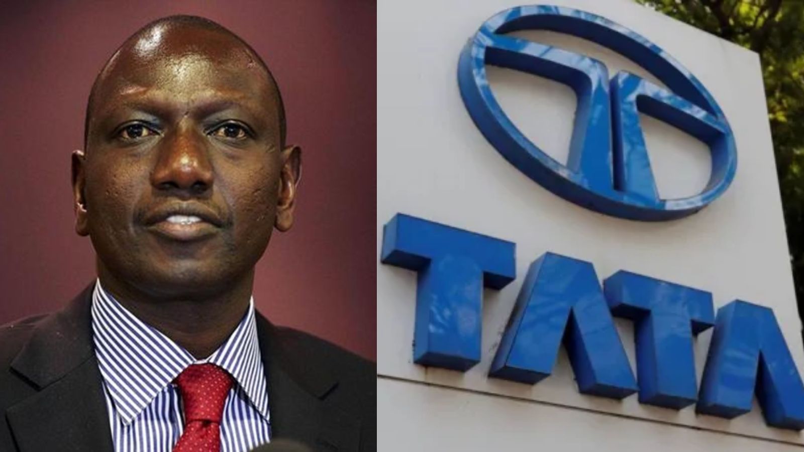 Tata Chemicals seeks regulatory resolution after Kenya President orders operations halt