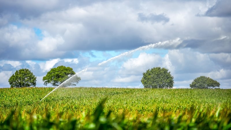 World food prices at highest point since 2022 - UN