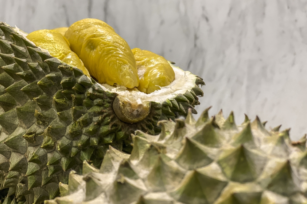 Malaysian durians could clear China customs in three to four hours under proposed fast-track scheme
