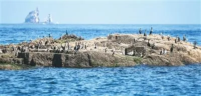 Changshan Archipelago's World Heritage listing highlights China's efforts to advance ecological progress