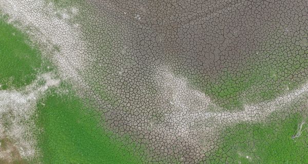 S. Gyeongsang Province Suffering Serious Crop Damage due to Extreme Heat, Drought